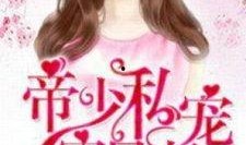 娱乐圈吃瓜读心小说百度云,揭秘明星背后的真实故事