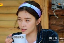 娱乐吃瓜酱替身文学男主