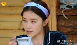 娱乐吃瓜酱替身文学男主