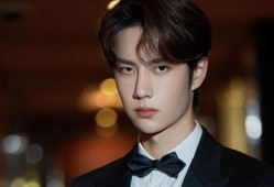 娱乐吃瓜说肖战王一博,娱乐吃瓜界的双星闪耀